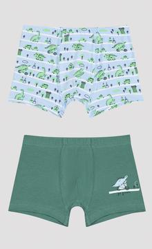 Boys Healthy 2 Pack Boxer