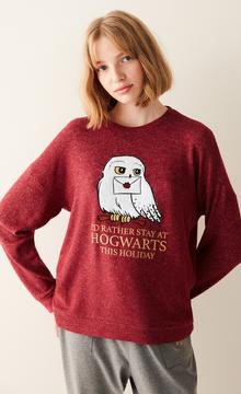 Harry Potter Hogwarts Soft Sweatshirt